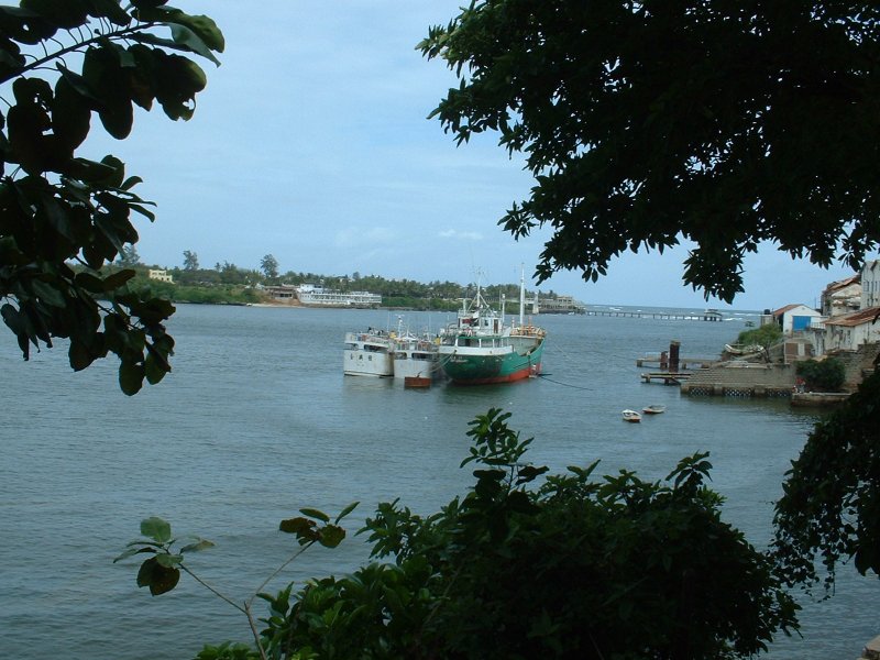 gal/Honeymoon/Mombasa and around/DSCF0124.JPG